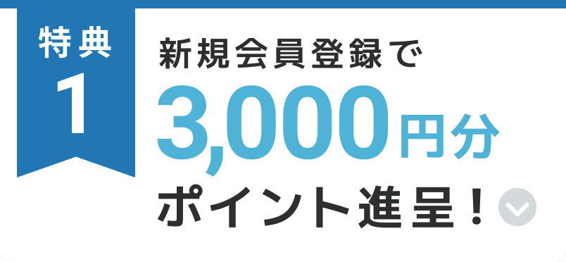 特典1 新規会員登録で3,000円分のポイント進呈