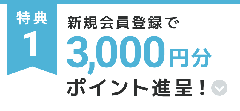 特典1 新規会員登録で3,000円分のポイント進呈